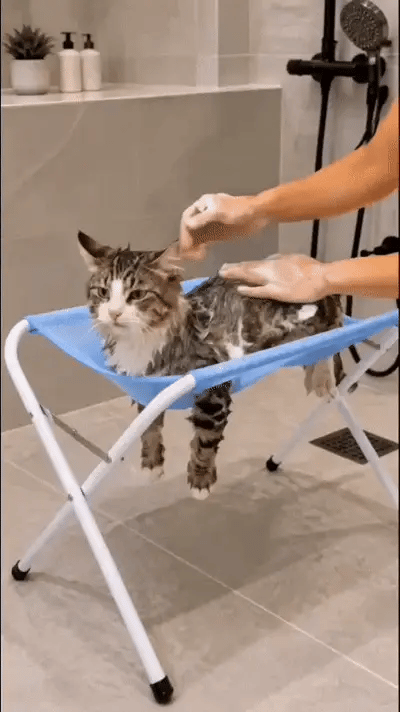 Pawziq™ Pet Grooming Stand